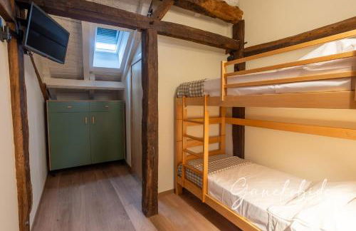 Ganekobide - Foto 12