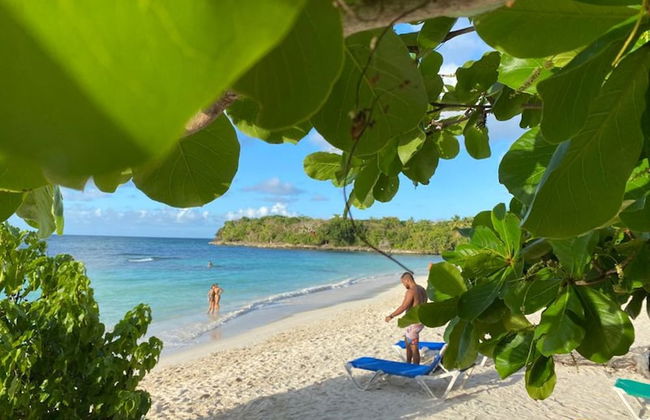 Great Palm View - Apartment 3 in Villa Coconut - Foto 10