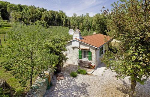 Roinizza in Prtlog (Haus für 4-5 Personen) - Foto 13