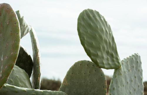 Kyma Paros Horizon Lux Suite - Foto 16