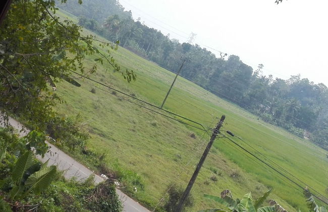 Aroma Villa - Foto 4