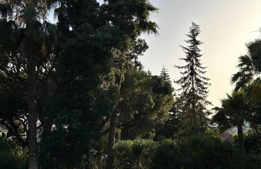 Villa com piscinas - Quintinha do Lago - Foto 23