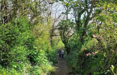 Corvus - Beautiful cottage half a mile from Mousehole - Photo 70