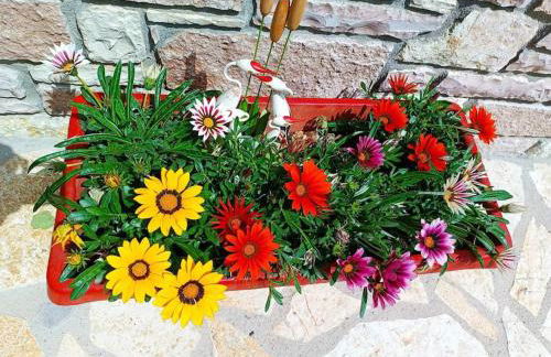 The Lady of the Lake studio - Photo 22