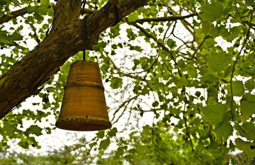 The Ranch of Ancient Ilida - Foto 22