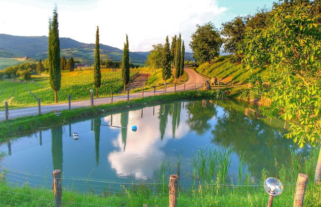 Escape to Vineyards, Elba - Foto 35