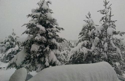 Studio avec cheminée et jardin - Foto 17