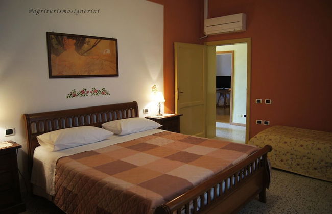 Agriturismo Signorini - Foto 7