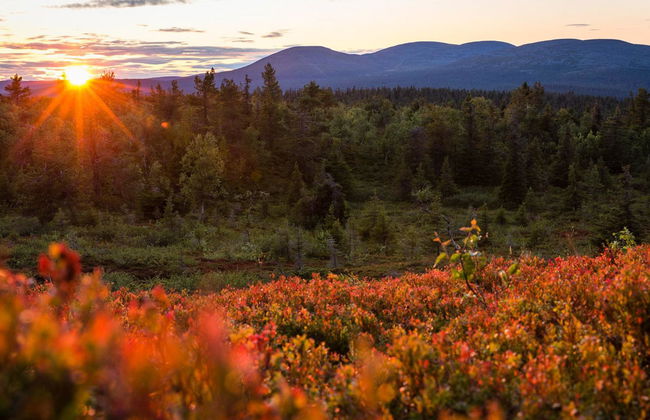 Lappi dream house - Foto 35