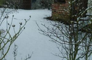 Framboisine - Foto 32