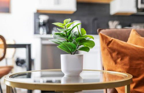 Near Medical District Walkable to Oak Lawn Bars - Foto 7