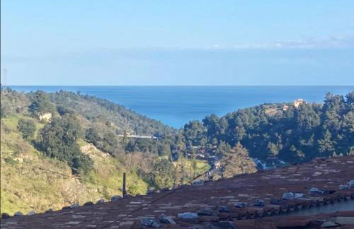 Casa Maremonti - Gargano - Foto 14