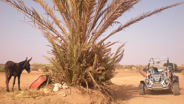 Experiencia en buggy - Tour de medio día - Foto 5