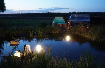 Auszeit inmitten der Natur - its a kind of magic - Foto 27