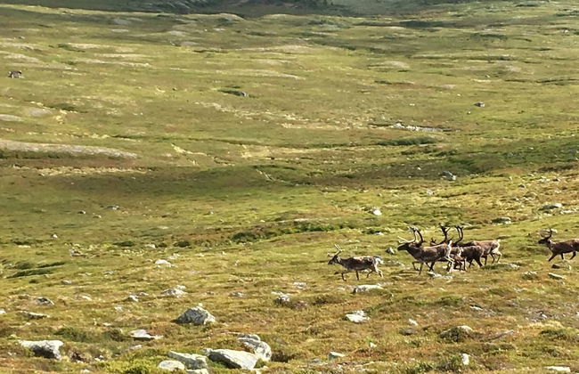 Cozy House On Norderon For Up To 8 People - Foto 17