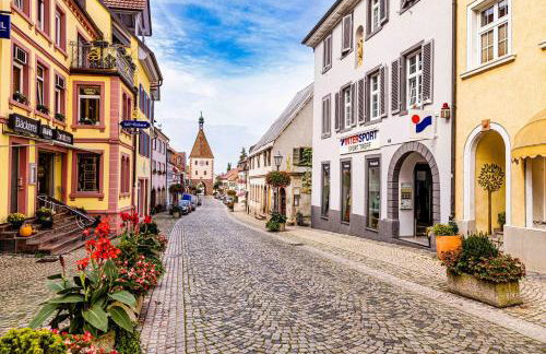 Apartment, close to Europa Park, Alsace, Black Forest, family friendly, dogs allowed - Foto 2