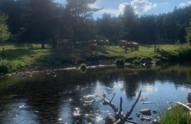 "Les Oiseaux" avec terrasse, parking, duplex - Foto 28