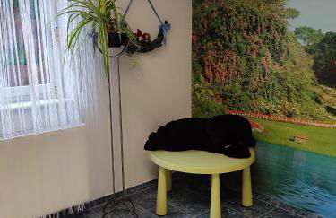 Idyllische Ferienwohnung - Foto 10