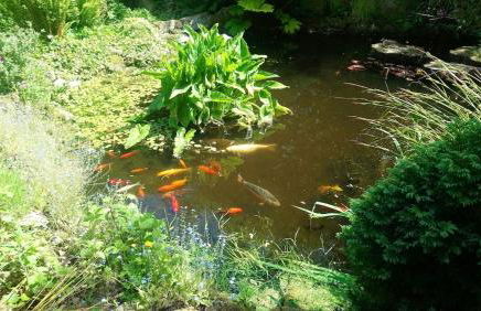 'Monktonmead Lodge' in secluded setting, with private indoor pool. - Photo 31