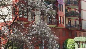 Argo Milano - Foto 3, Garden