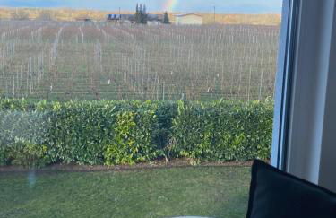 Ferienwohnen im Ziegelfeld - Foto 23