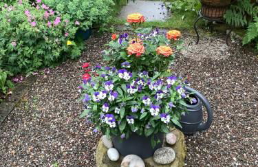 The Garden Flat - Photo 64