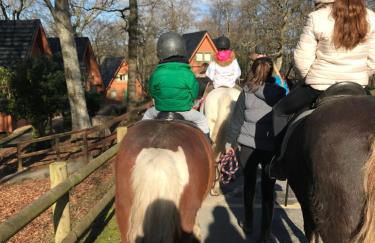 Lodge Nine for 6 with Hot Tub - Spa Resort in Devon - Foto 70