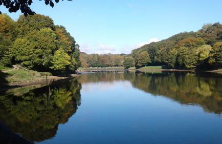 L'Ancre Bretonne - Foto 10