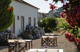 Morgadio da Calcada Douro Wine&Tourism - Photo 44