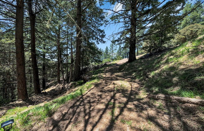 Mays Luxury Farm Stays - Foto 61