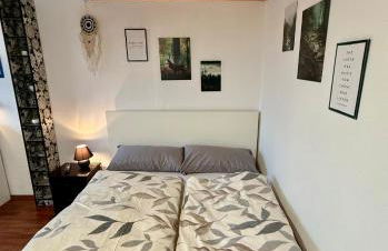 Charmante Ferienwohnung Ziegler mit Pool - Photo 24