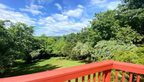 The Firefly Lodge at Shenandoah - Foto 5