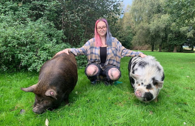 Starry Meadow - Foto 19