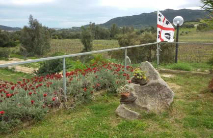 Agriturismo Su Solianu - Foto 6