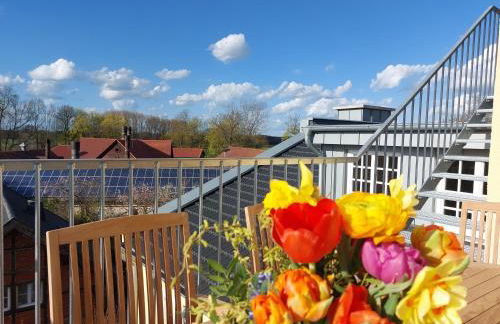 Hof Albersmeier Hüttinghausen / Urlaub am Stall - Foto 5