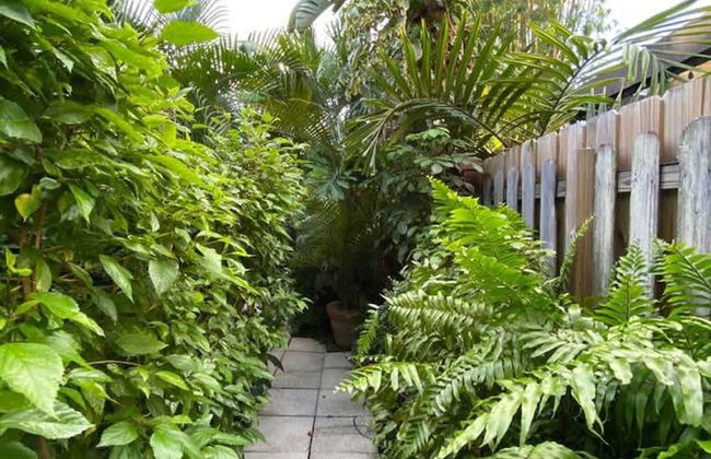 Delight and Cozy Apt Close to Las Olas the Beach - Foto 14