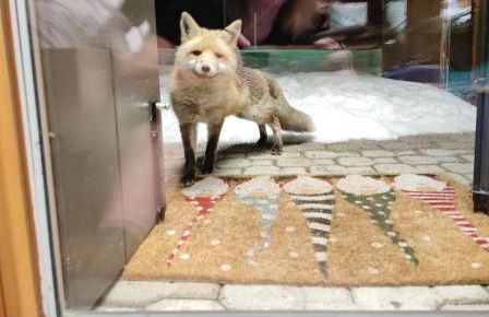 La Casa degli Gnomi - Foto 8