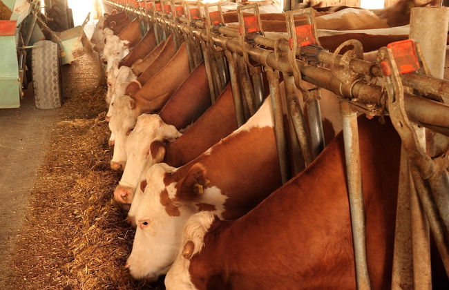 Agriturismo Villa Dafne - Foto 42