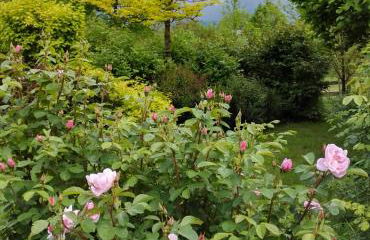 Casa delle Arti Fattoria dei fiori - Foto 54