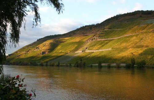 Fewo direkt am Moselufer - Foto 9