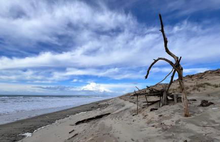 Duplex carcans plage - Foto 15