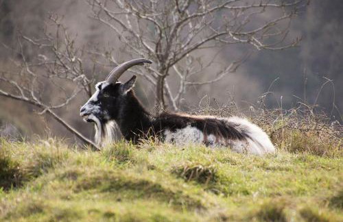 Kingsley Paddocks - Foto 52