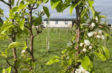 Drovers Lodge, farm retreat in rural Lanarkshire, family and pet friendly, onsite craft distillery, perfect location for exploring central Scotland - Foto 15