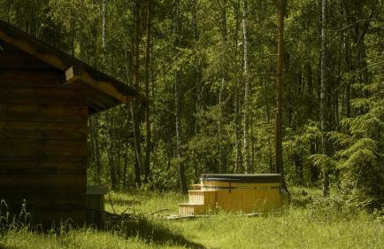 Biały Las Magiczna Stara Chata Puszcza Białowieska - Foto 49