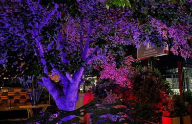 Tiny House Rental in Asheville, NC - The Bat Shack - Foto 47