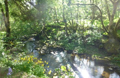 Middlehope Cottage - Photo 32