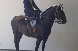 Casa Luisa Casquinha - Foto 24