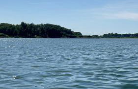 Domek pod świerkami 2 - Foto 12