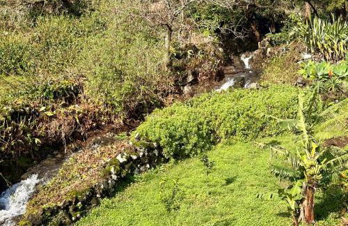 Casa das Duas Ribeiras - Photo 21