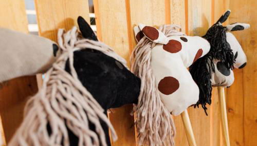 Ferienhof Sonnengarten - Foto 2